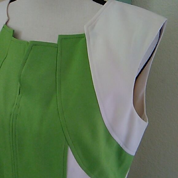 Ellen Tracy Beautifully Seamed Colorblock Dress - Picture 6 of 11